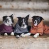 file,101301,32,1f Hurtta Mudventure Coat