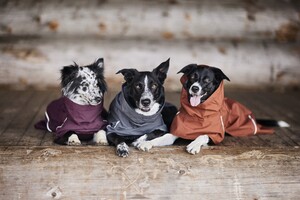 file,101301,32,1f Hurtta Mudventure Coat