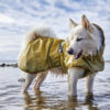 file,101303,17,1f Hurtta Mudventure Reflective Coat