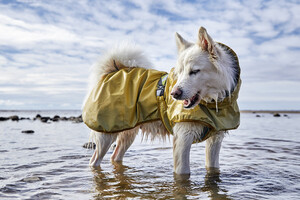 file,101303,17,1f Hurtta Mudventure Reflective Coat