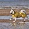 file,101303,21,1f Hurtta Mudventure Reflective Coat