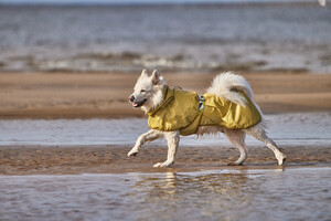 file,101303,21,1f Hurtta Mudventure Reflective Coat