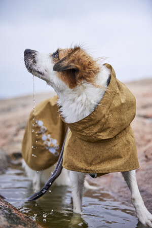 file,102722,4,1f Hurtta Monsoon Coat II