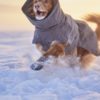 Hurtta Expedition Parka II