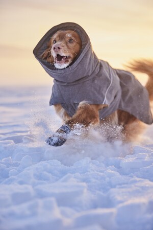 Hurtta Expedition Parka II