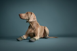 Hurtta Weekend Warrior Boots